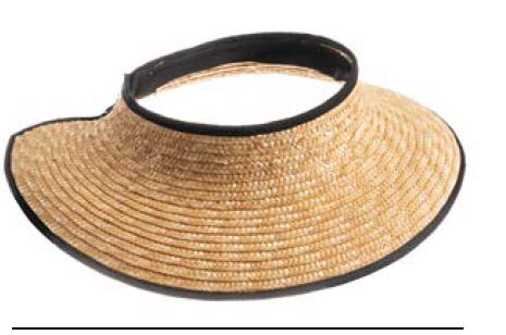 VISERA PAJA